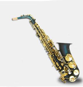 Flower Carving Professional High-Grade U-Shape E Flat Brass Alto Saxophone #