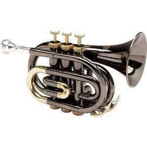 Allora MXPT-5801-BK Black Nickel Series Pocket Trumpet Black Nickel. Huge Saving