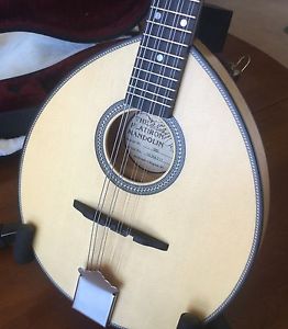 Flatiron 3MB Army-Navy Style Mandolin, Hard Case, and Small Dog Case Cover