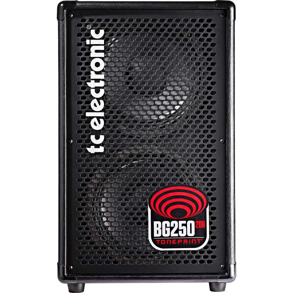TC ELECTRONIC BG250-208 Amplificatore Combo per Basso 250W 2x8''