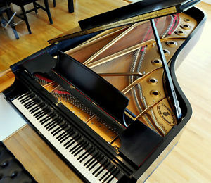 CD 292 STEINWAY & SONS Model D concert grand piano