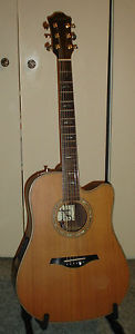 "One of a Kind" Parsons White B Bender acoustic guitar rare Hohner DR550CE case
