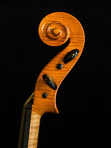 Old VIOLA likely to RICCARDO SCANDOLA
