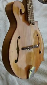 EdwardBurgess art mandolin #124 f style handcarved loar virzi tone producer