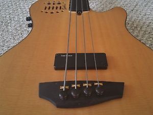 Godin A4 Fretless Acoustic/Electric Bass Guitar