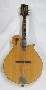 Tacoma M3 mandolin w/ hard shell case & new strings