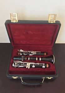 Amazing Buffet Crampon R13 Clarinet - was used in Major Orchestras
