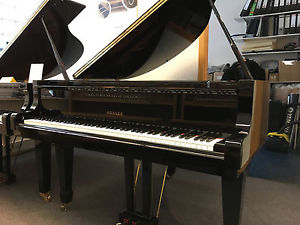 Hohner-Flügel Mod 152, 152cm lang, schwarz poliert