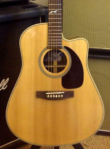 Zager EZ-Play Modified Seagull Artist Peppino Acoustic Electric Guitar