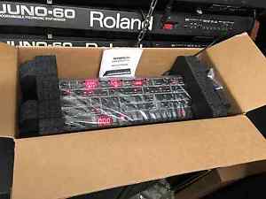 Dave Smith Instruments Prophet 6 Synth Module / desktop / 807 //ARMENS//