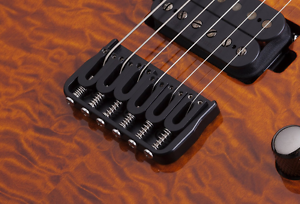 Schecter 1217 Banshee-6 Passive FVSB Electric Guitars