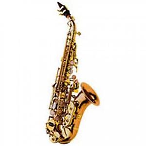 Yanagisawa SC-992 curved soprano Saxophone 0512
