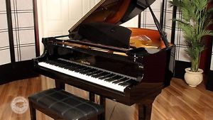 Wurlitzer Baby Grand Piano C173HPE $4000
