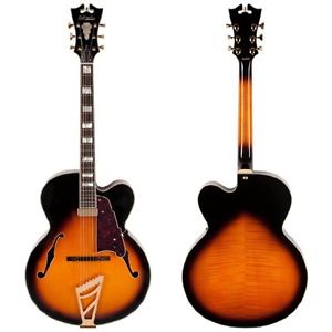 DAngelico Exl1 Electric Guitar W