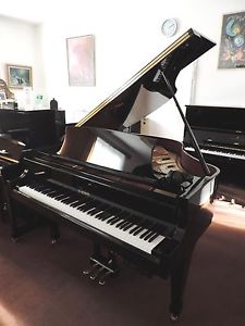 Flügel Boston G-156 Silent, occasion