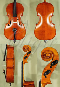 Quarter Size 1/4 INTERMEDIATE Level 'GEMS 1' CELLO from ViolinsLover