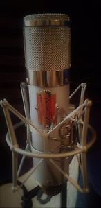 BeesNeez Phelicity Tube Microphone