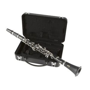 New! YAMAHA Musical Instrument Clarinet with Case YCL-255 from Japan Import!