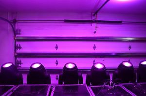 ROBE Colorwash 1200E AT ( PAIR ) with Road Case