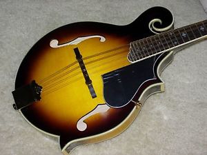 Washburn M3sw Mandolin hrefhttp 