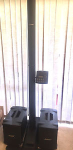 Bose L1 model II double bass with tone match engine with all cases
