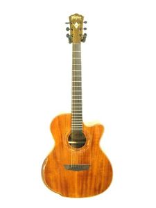 Washburn WCG55CE Comfort Series Acoustic Electric Guitar Factory Blem #A777