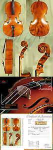 HANDmade Full Size FLAMED Acoustic 4/4 Maestro GLIGA ANTIQUED CELLO