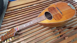 Raffaele Calace vintage bowl-back mandolin made in Naples, Italy, 1926