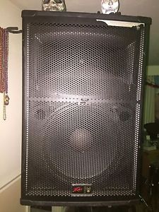 Peavey 15" Black Widow Speakers