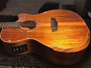 Washburn WCG-55CE 2017 Koa