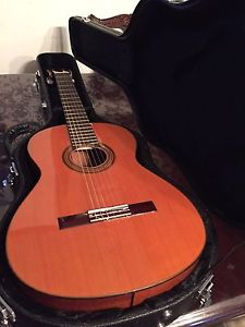 Aria Concert Classical Guitar with Case, Spain