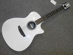 RainSong Rs1le Limited Edition W