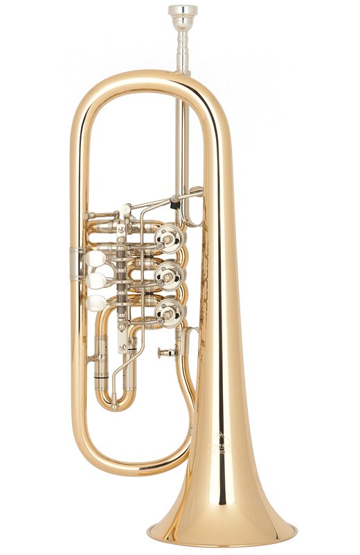 MIRAPHONE 25 1100A100 BUGLE A PALETTE VERNI - Avec housse