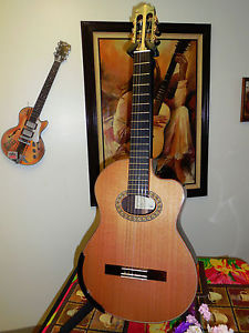 Professional Custom Made Cut-Away Classical Guitar - New