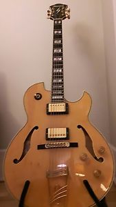 Ibanez pm 120 Pat Metheny signature series