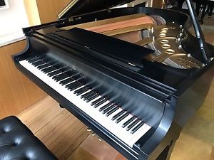 Steinway Model M -- Mint Condition