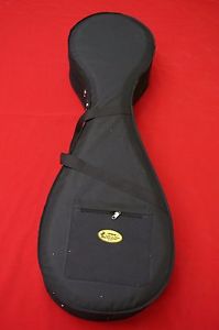 DUNHUANG Pipa, Chinese Lute - PROFESSIONAL AGED ROSWWOOD PIPA WITH CA - 敦煌花梨木琵琶