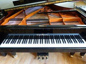 Schimmel C-189 - Tradition