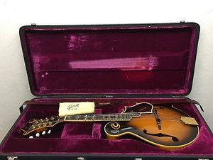 The Gibson Mandolin Model F5 Master from 1975 with hardcase