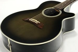 Takamine PT-106 Acoustic Electric Guitar Brown w/Softcase from Japan