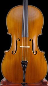 Stoica Alin 4/4 Strad. "Professional" Violoncello Violoncello,Fatto a mano da RO
