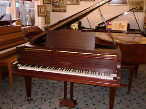 CHAPPELL  overstrung ROLLER grand 4FT 6"  CAN DELIVER FREE LOCAL  £550 buy now