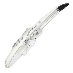 Roland Aerophone AE-10 Digital Wind Instrument