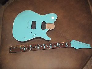 Alder FR style, bound guitar body & matching tree of life neck - lacquer finish