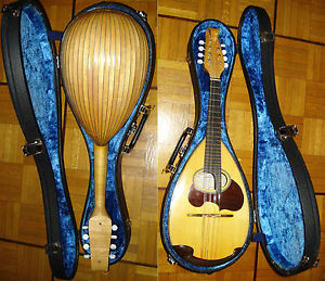 Wunderschöne Meister-Mandoline  M - 100  SUZUKI - Rillenboden