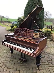 Bechstein Grand Piano 6