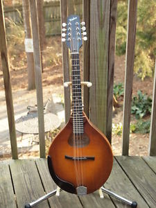 Weber Gallatin D-Hole Mandola