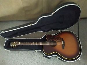 Takamine NPT-012BS