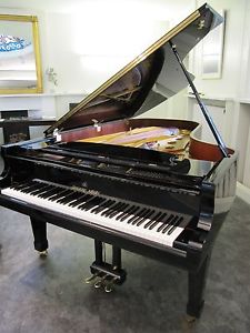 Flügel Shigeru Kawai SK 7 229 cm, Ausstellungsmodell