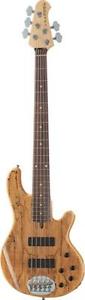 LAKLAND SYKLINE 5501 DELUXE SPALTED MAPLE BASS INKL GIGBAG *DEAL!* UVP 1029€